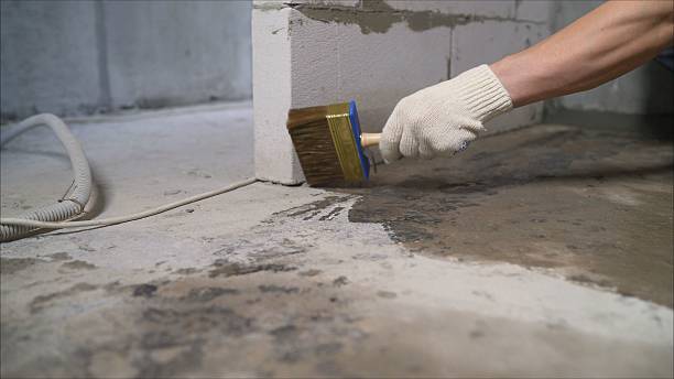 Top rated local Foundation Crack Repair specialists in Saranac, MI